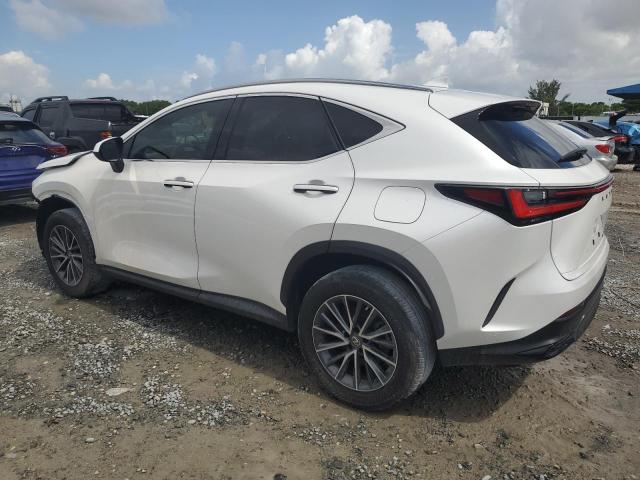 Photo 1 VIN: JTJADCAZ3P2006300 - LEXUS NX 250 