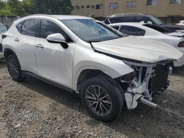 Photo 3 VIN: JTJADCAZ3P2006300 - LEXUS NX 250 