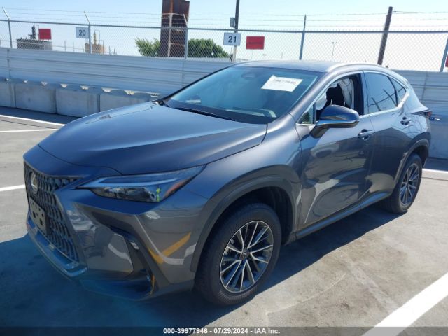 Photo 1 VIN: JTJADCAZ3R2014447 - LEXUS NX 