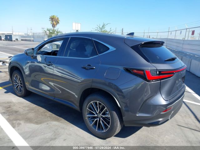 Photo 2 VIN: JTJADCAZ3R2014447 - LEXUS NX 