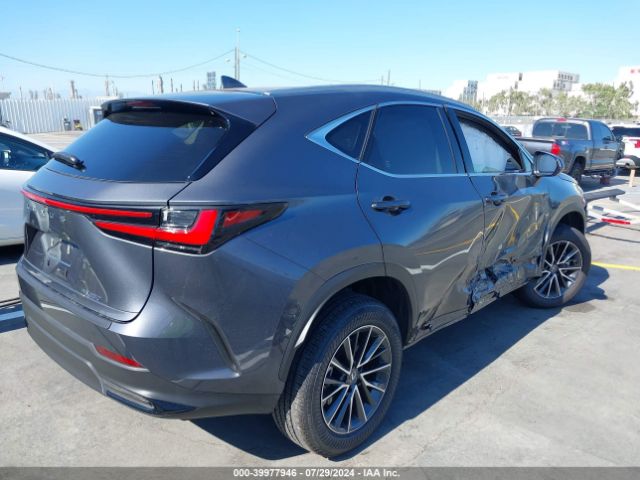 Photo 3 VIN: JTJADCAZ3R2014447 - LEXUS NX 