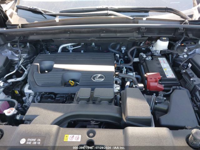 Photo 9 VIN: JTJADCAZ3R2014447 - LEXUS NX 