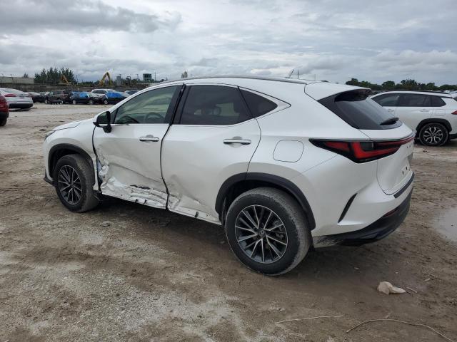 Photo 1 VIN: JTJADCAZ5R2011145 - LEXUS NX 250 BAS 