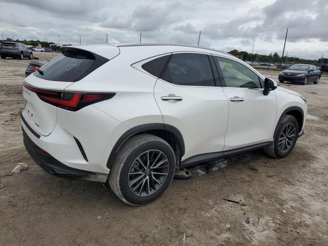 Photo 2 VIN: JTJADCAZ5R2011145 - LEXUS NX 250 BAS 