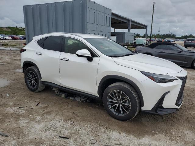 Photo 3 VIN: JTJADCAZ5R2011145 - LEXUS NX 250 BAS 