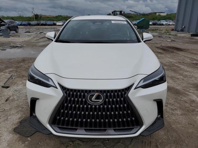 Photo 4 VIN: JTJADCAZ5R2011145 - LEXUS NX 250 BAS 