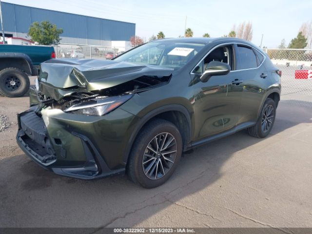 Photo 1 VIN: JTJADCAZ6N2001444 - LEXUS NX 250 