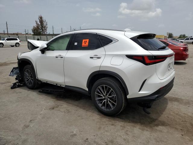 Photo 1 VIN: JTJADCAZXR2008340 - LEXUS NX 250 BAS 