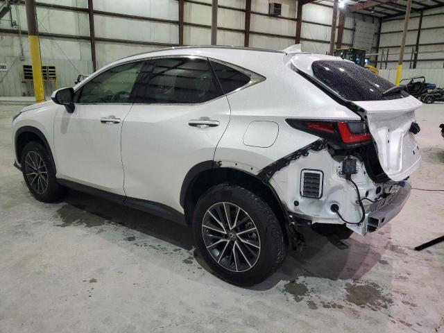 Photo 1 VIN: JTJADCEZ6N5000142 - LEXUS NX 250 