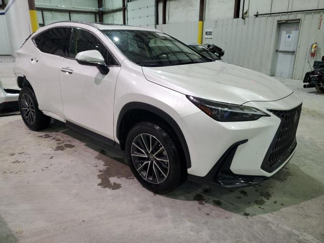 Photo 3 VIN: JTJADCEZ6N5000142 - LEXUS NX 250 