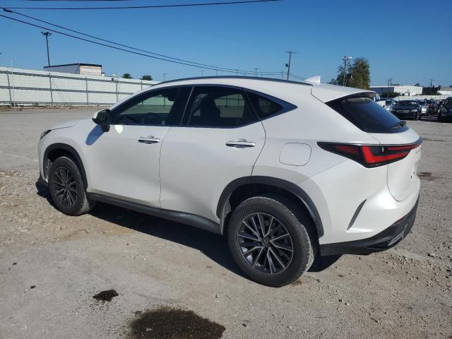 Photo 1 VIN: JTJADCEZ7N5000392 - LEXUS NX 250 