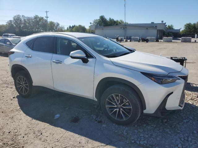 Photo 3 VIN: JTJADCEZ7N5000392 - LEXUS NX 250 