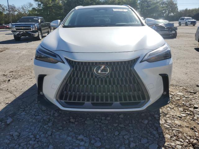 Photo 4 VIN: JTJADCEZ7N5000392 - LEXUS NX 250 