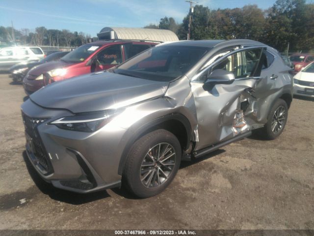 Photo 1 VIN: JTJADCEZ8N5000207 - LEXUS NX 250 