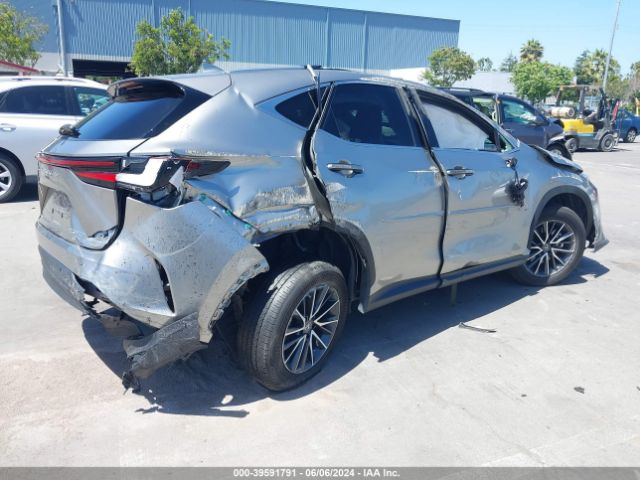 Photo 3 VIN: JTJAGCEZ0N5002850 - LEXUS NX 