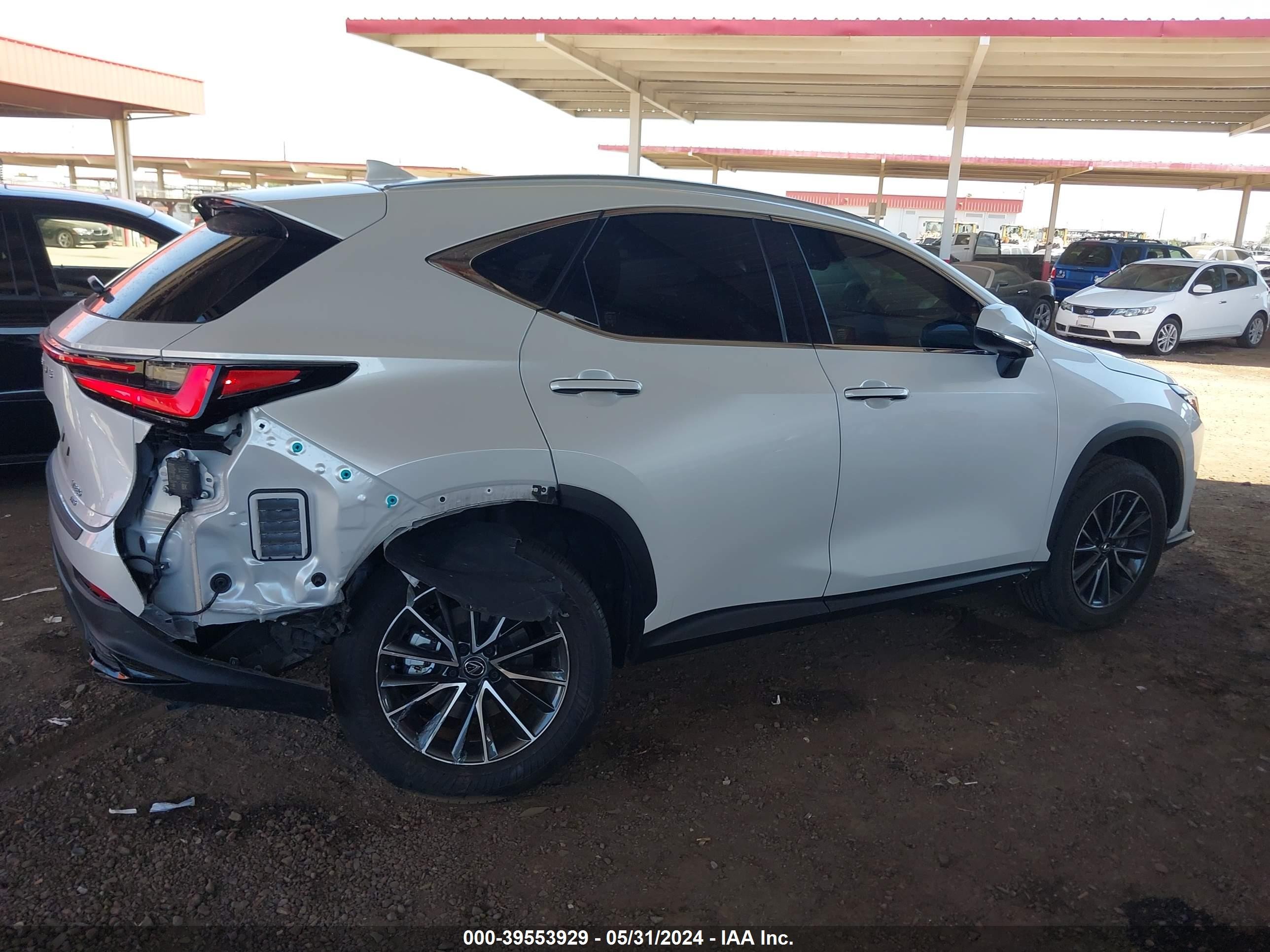 Photo 12 VIN: JTJAGCEZ4R5006504 - LEXUS NX 