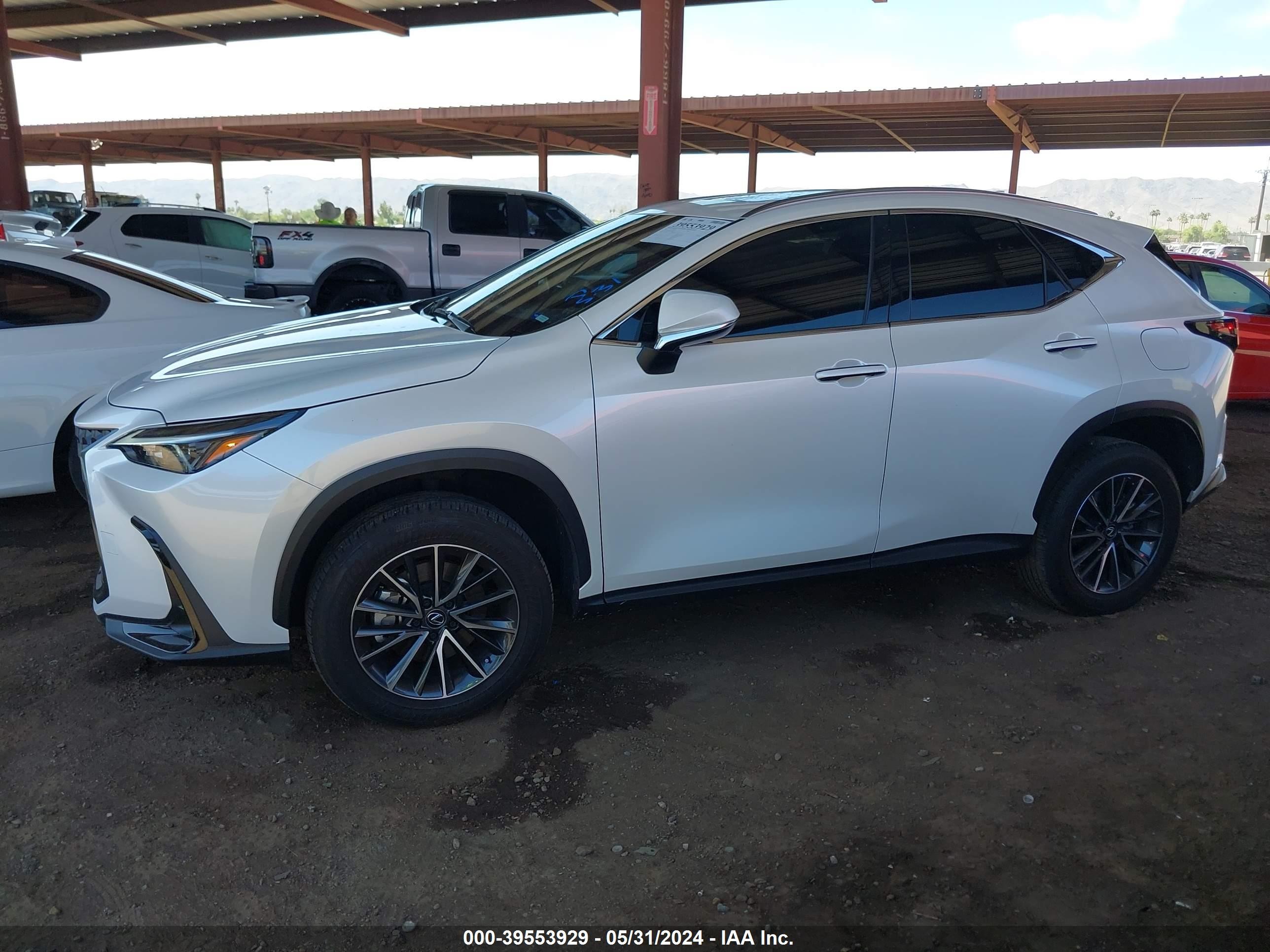 Photo 13 VIN: JTJAGCEZ4R5006504 - LEXUS NX 