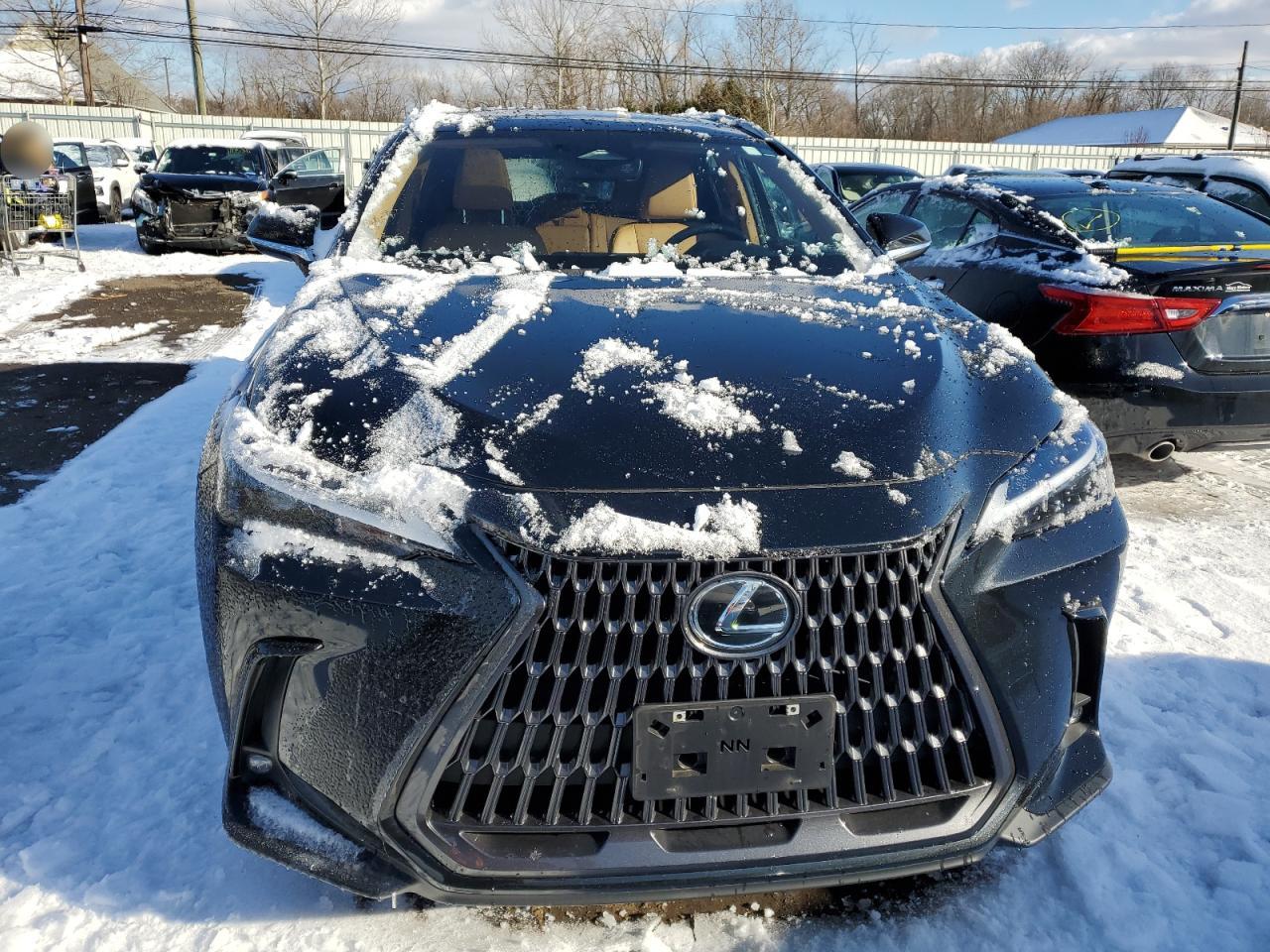 Photo 4 VIN: JTJAGCEZ8N5001784 - LEXUS NX 