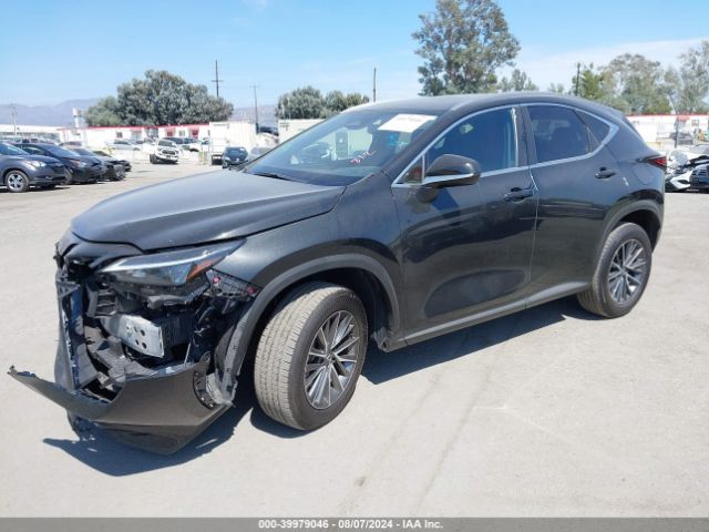 Photo 1 VIN: JTJAGCEZ8R2015482 - LEXUS NX 