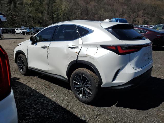 Photo 1 VIN: JTJAGCEZXR2016214 - LEXUS NX 350 BAS 