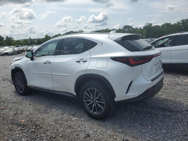 Photo 1 VIN: JTJAKCEZ1N5000801 - LEXUS NX 350H 