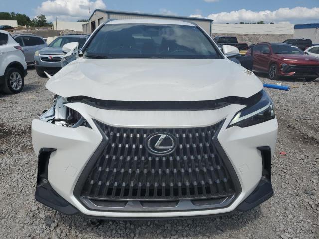 Photo 4 VIN: JTJAKCEZ1N5000801 - LEXUS NX 350H 