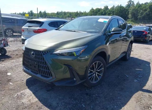 Photo 1 VIN: JTJAKCEZ7N2002814 - LEXUS NX 