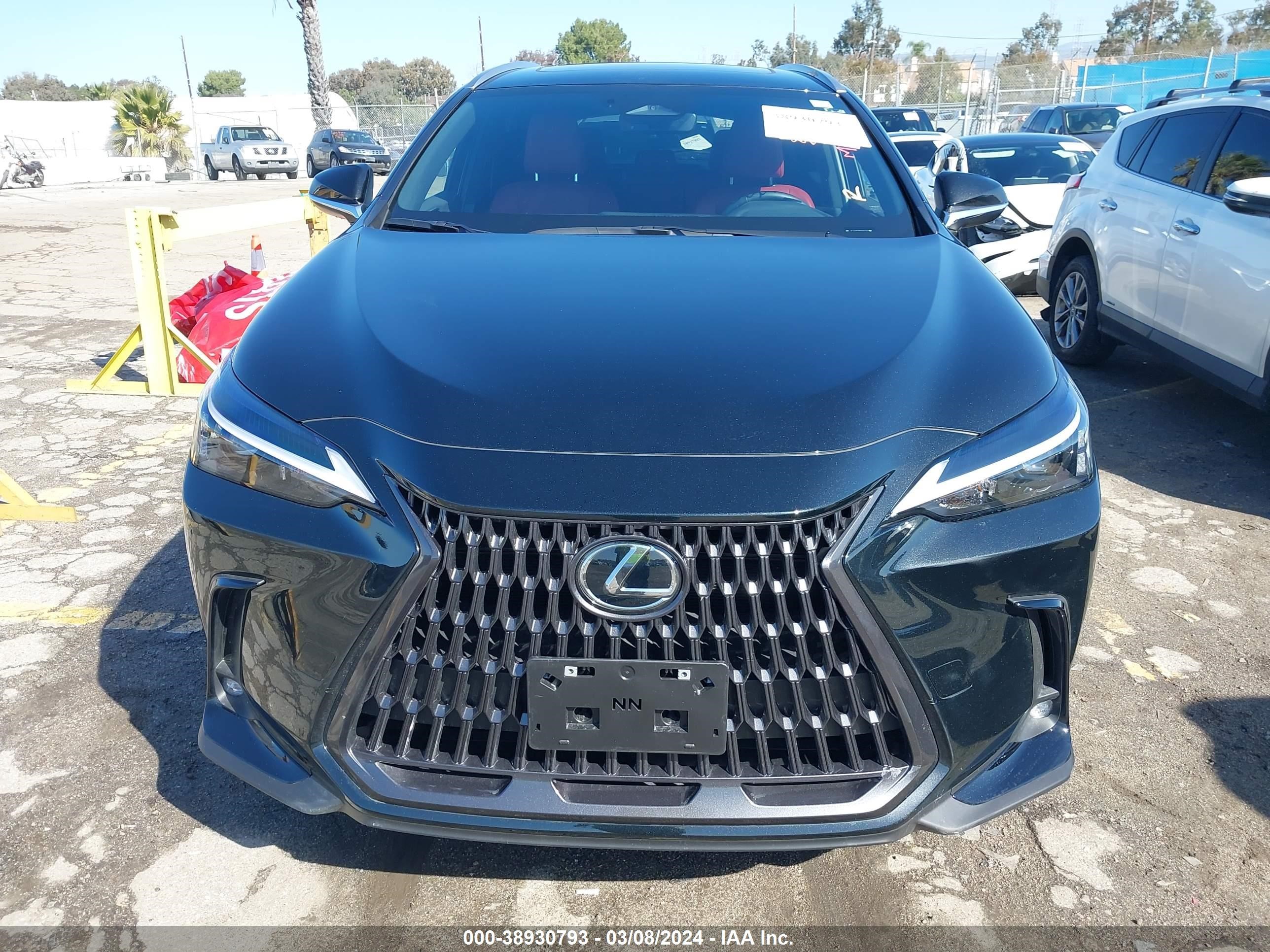 Photo 13 VIN: JTJAKCEZ7R2031784 - LEXUS NX 