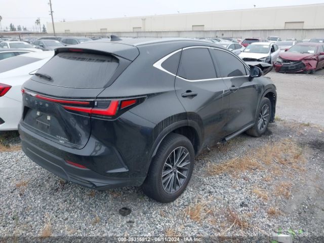 Photo 3 VIN: JTJAKCEZXN5002563 - LEXUS NX 350H 