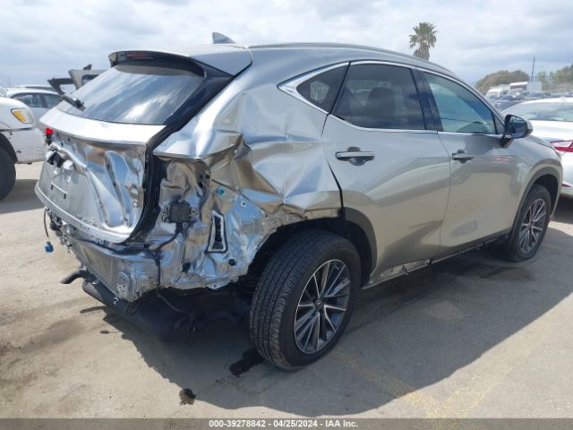 Photo 3 VIN: JTJAKCEZXN5005043 - LEXUS NX 350H 