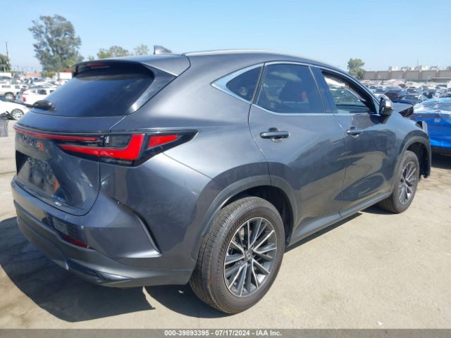 Photo 3 VIN: JTJAKCEZXN5005639 - LEXUS NX 