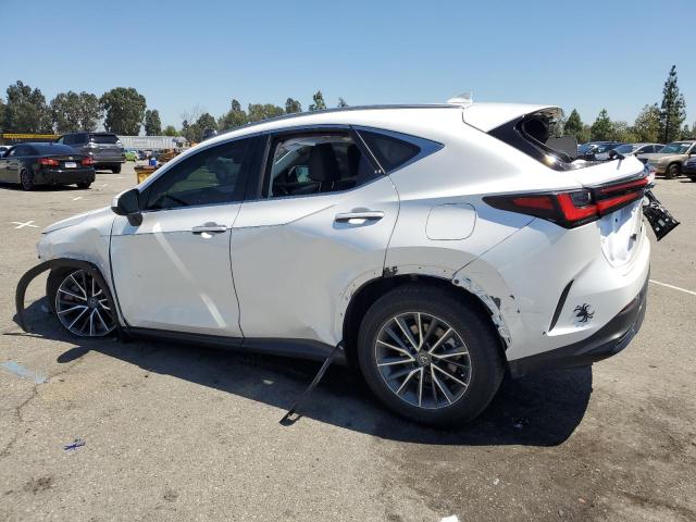 Photo 1 VIN: JTJAKCEZXP5008107 - LEXUS NX 350H 