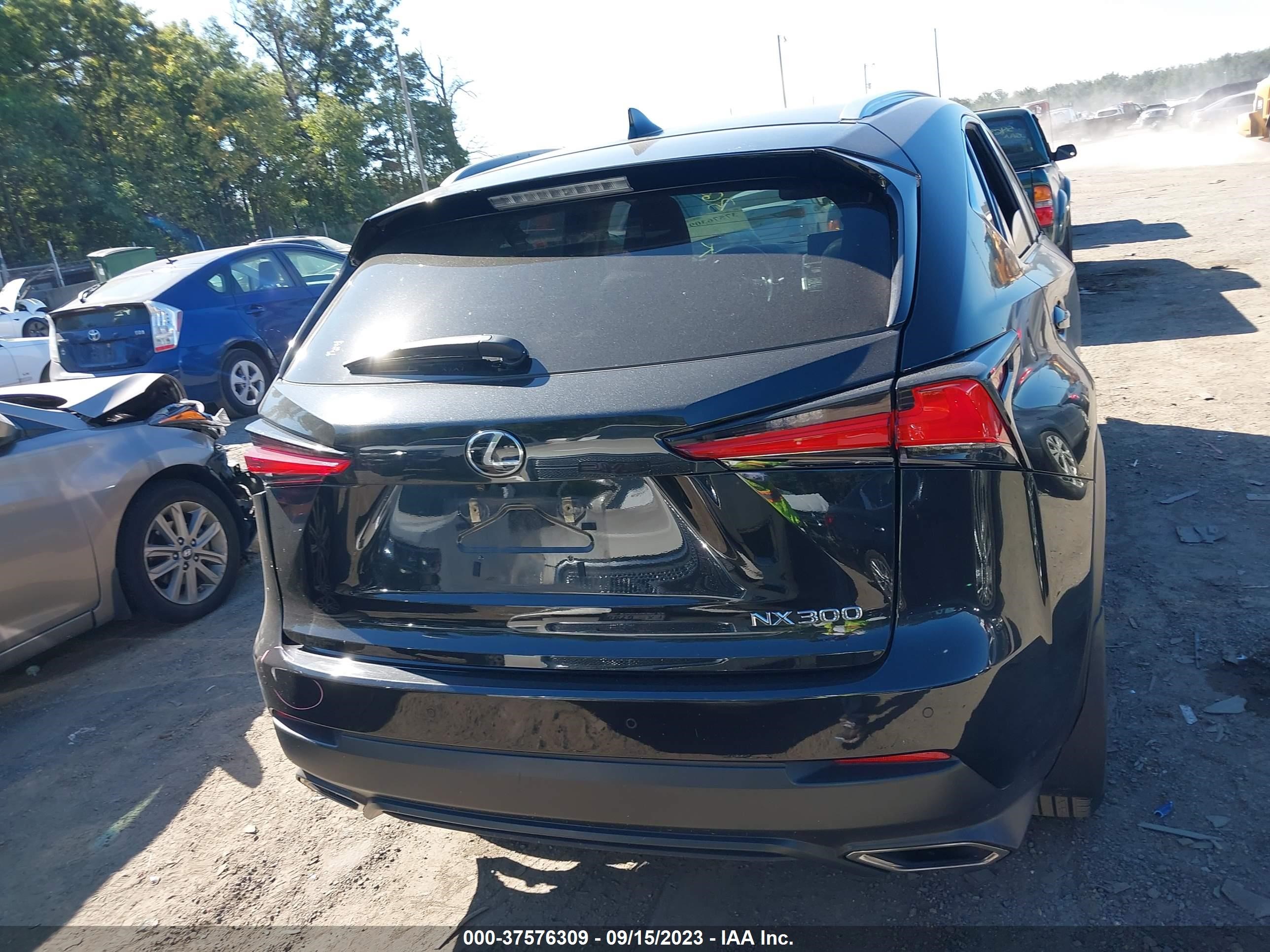 Photo 15 VIN: JTJBARBZ0J2164986 - LEXUS NX 