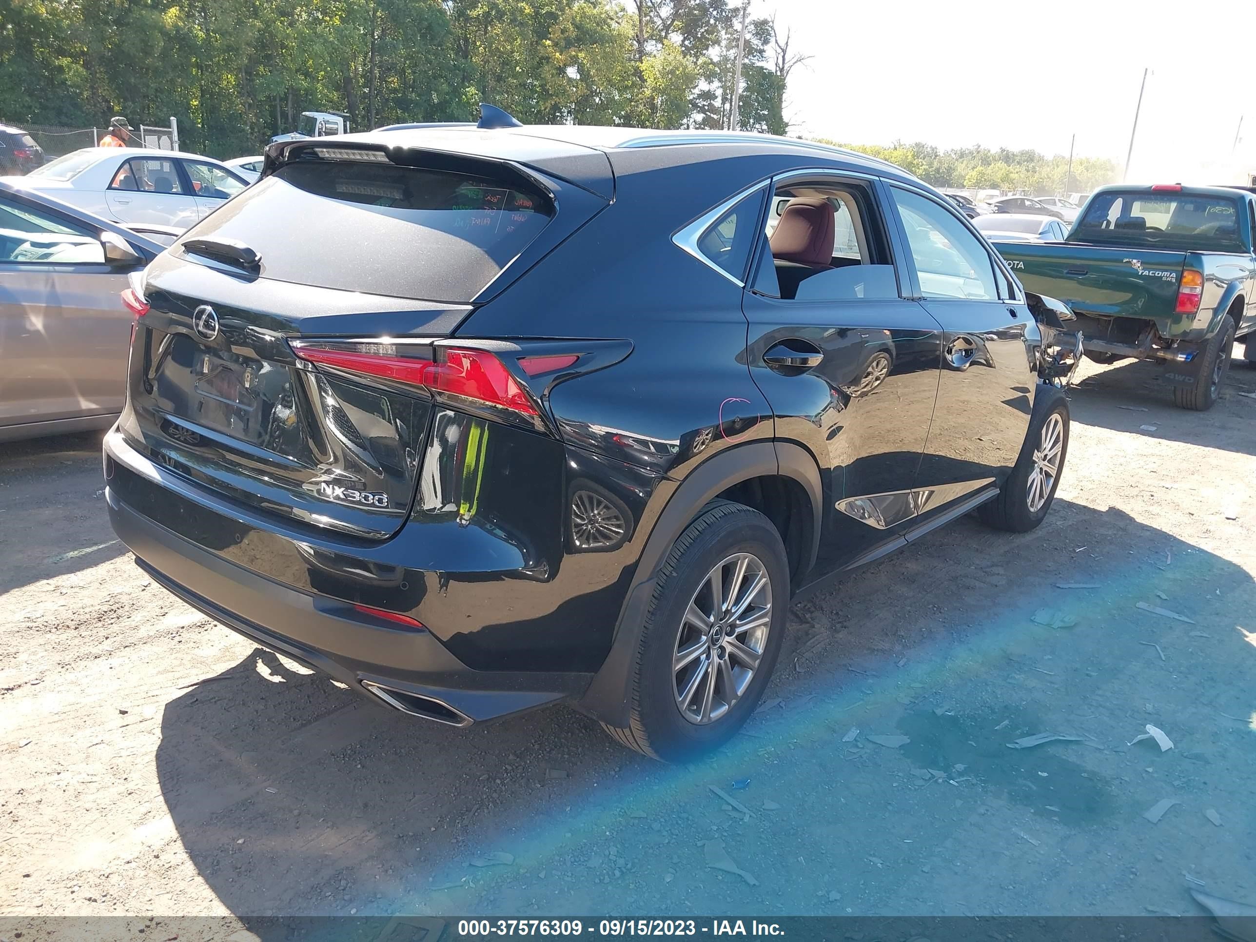 Photo 3 VIN: JTJBARBZ0J2164986 - LEXUS NX 