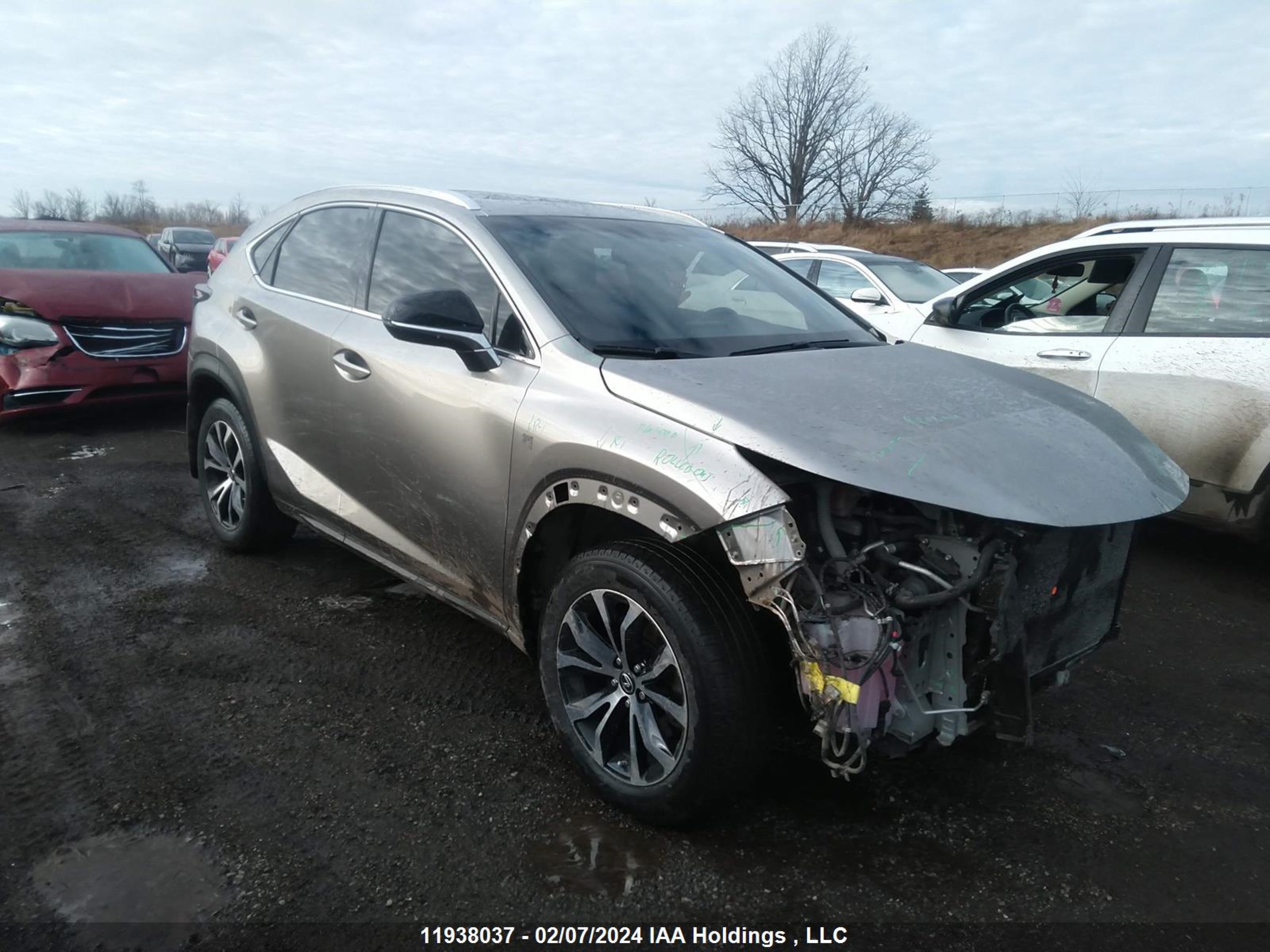 Photo 0 VIN: JTJBARBZ1H2137029 - LEXUS NX 