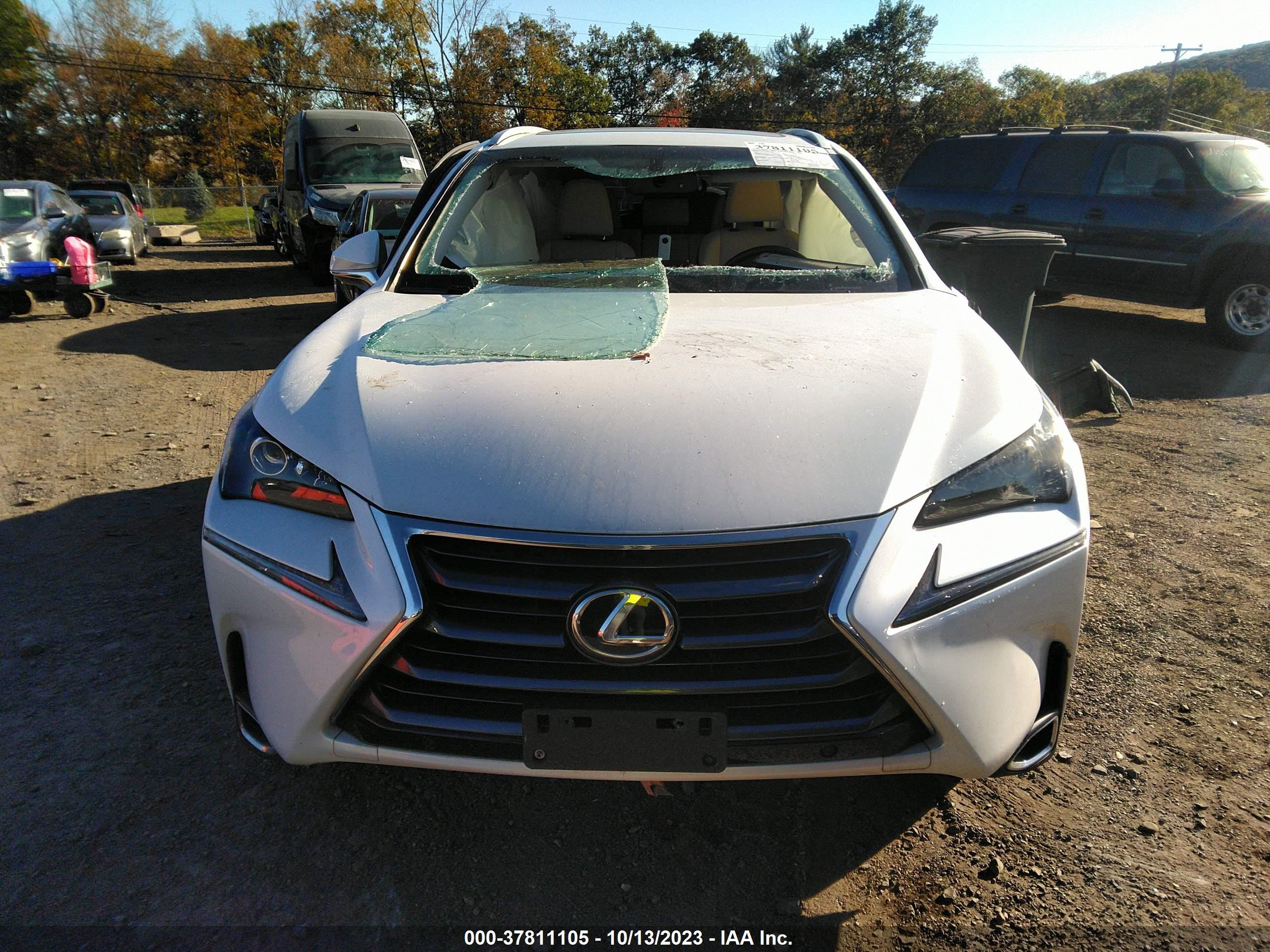 Photo 10 VIN: JTJBARBZ1H2146023 - LEXUS NX 