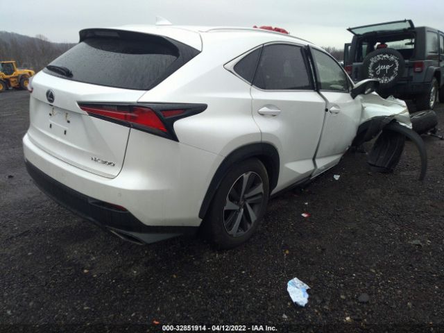 Photo 3 VIN: JTJBARBZ1K2197772 - LEXUS NX 