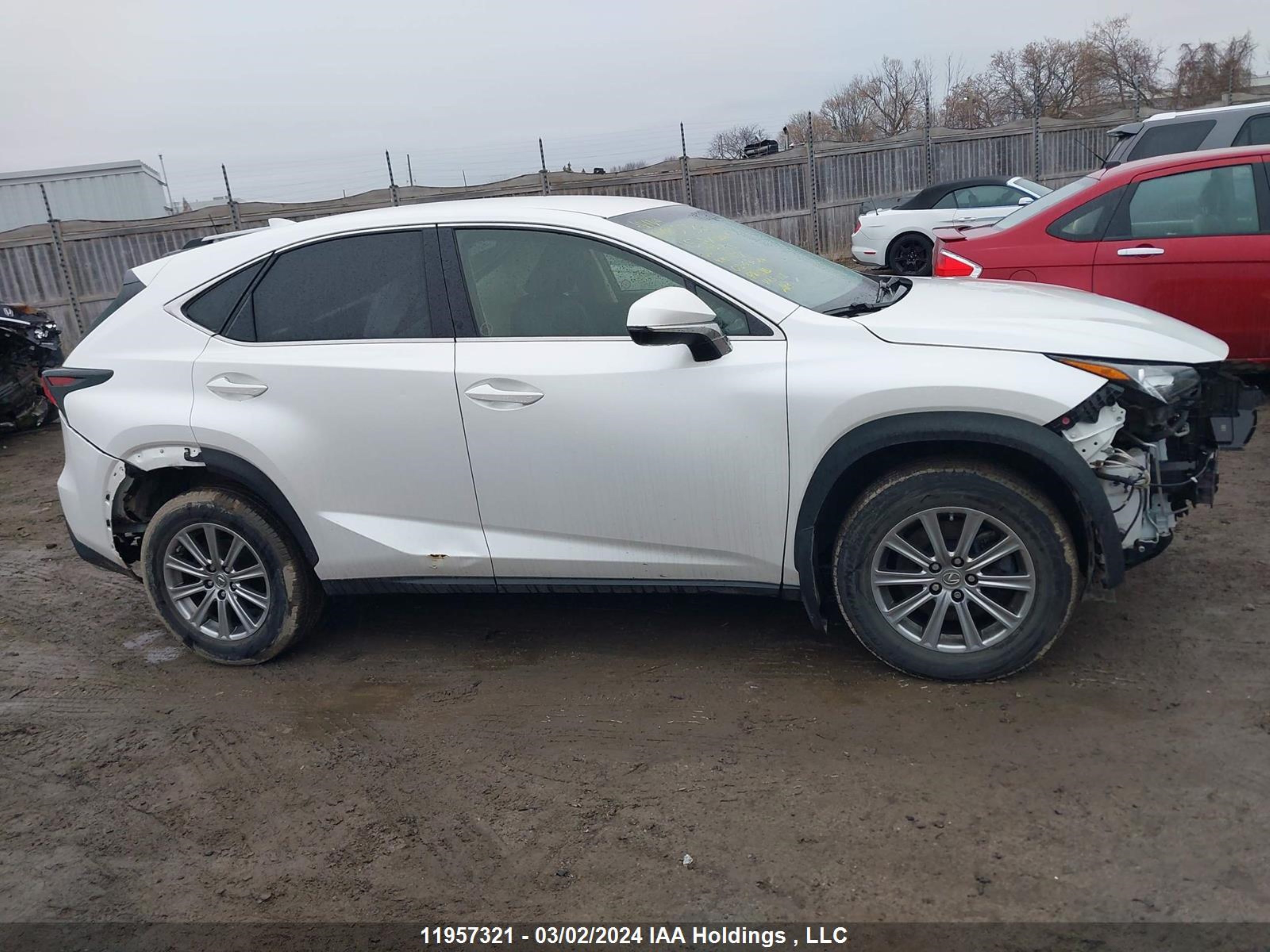 Photo 13 VIN: JTJBARBZ3F2014765 - LEXUS NX 