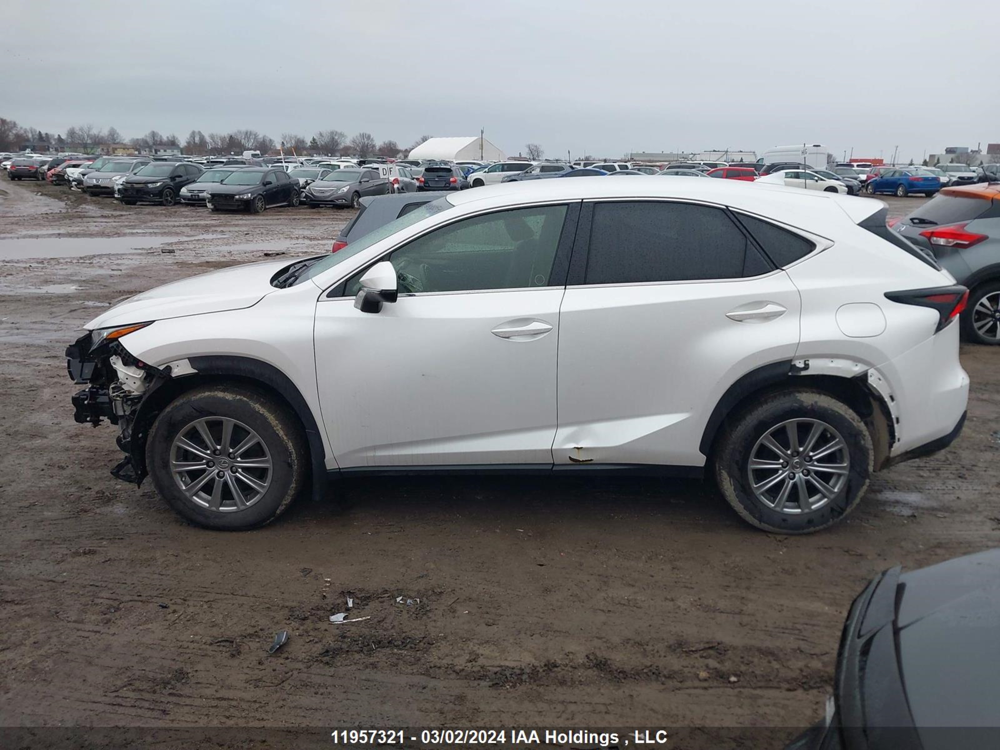 Photo 14 VIN: JTJBARBZ3F2014765 - LEXUS NX 