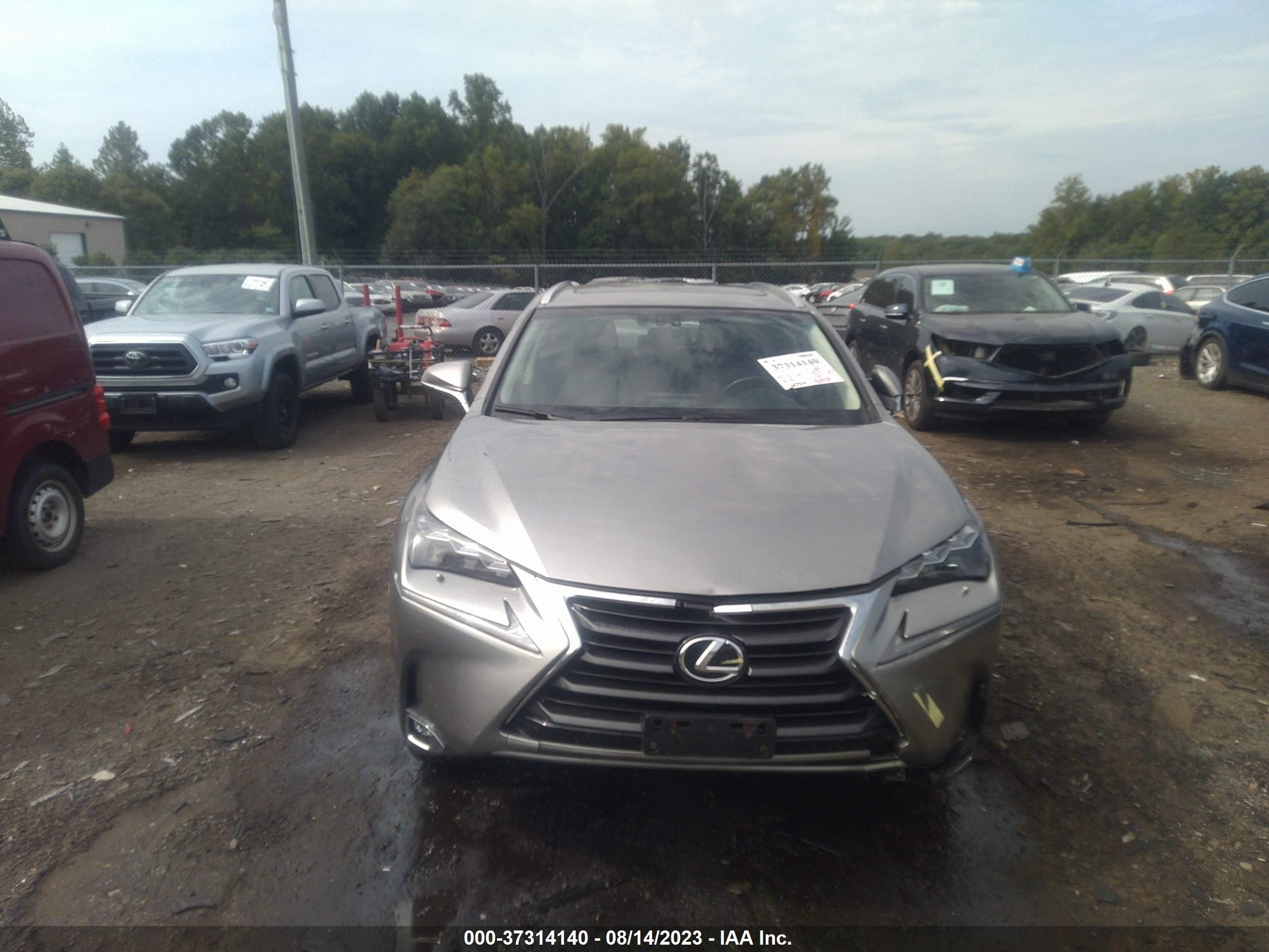 Photo 11 VIN: JTJBARBZ5G2074421 - LEXUS NX 