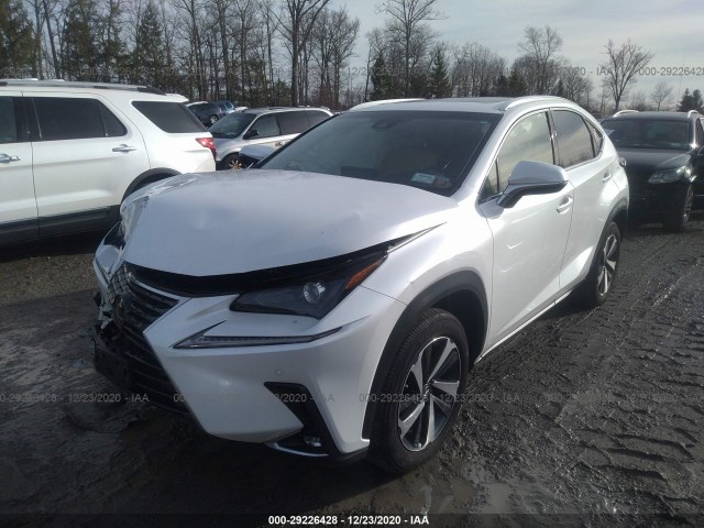 Photo 1 VIN: JTJBARBZ5J2149061 - LEXUS NX 