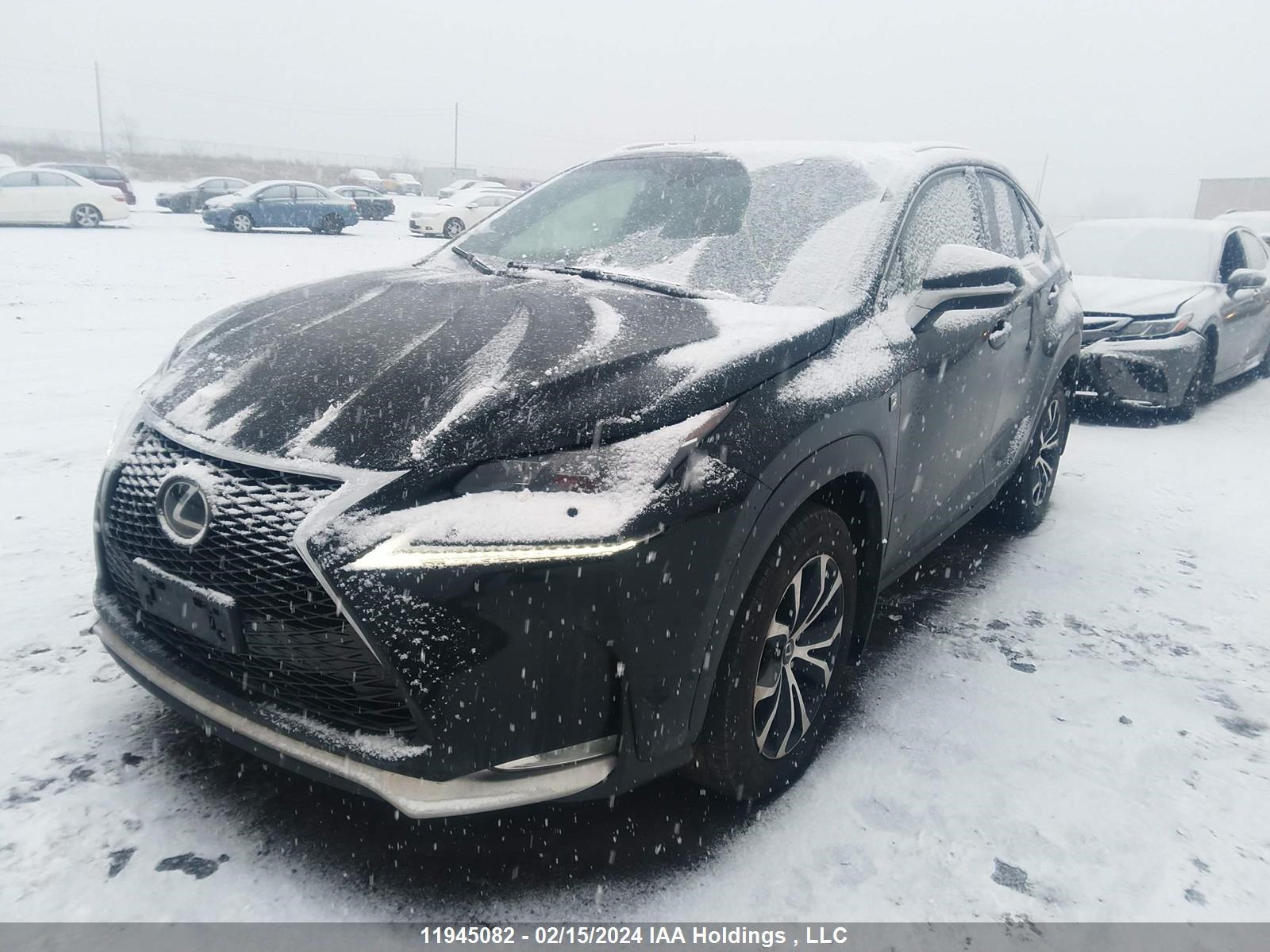 Photo 1 VIN: JTJBARBZ8F2013045 - LEXUS NX 