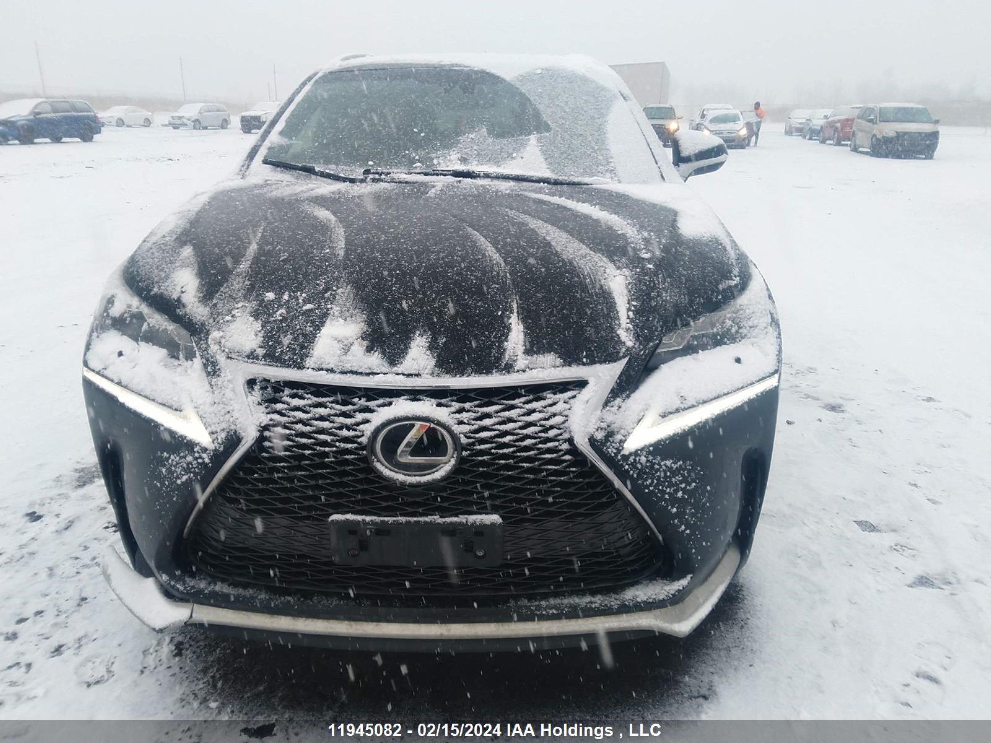 Photo 11 VIN: JTJBARBZ8F2013045 - LEXUS NX 