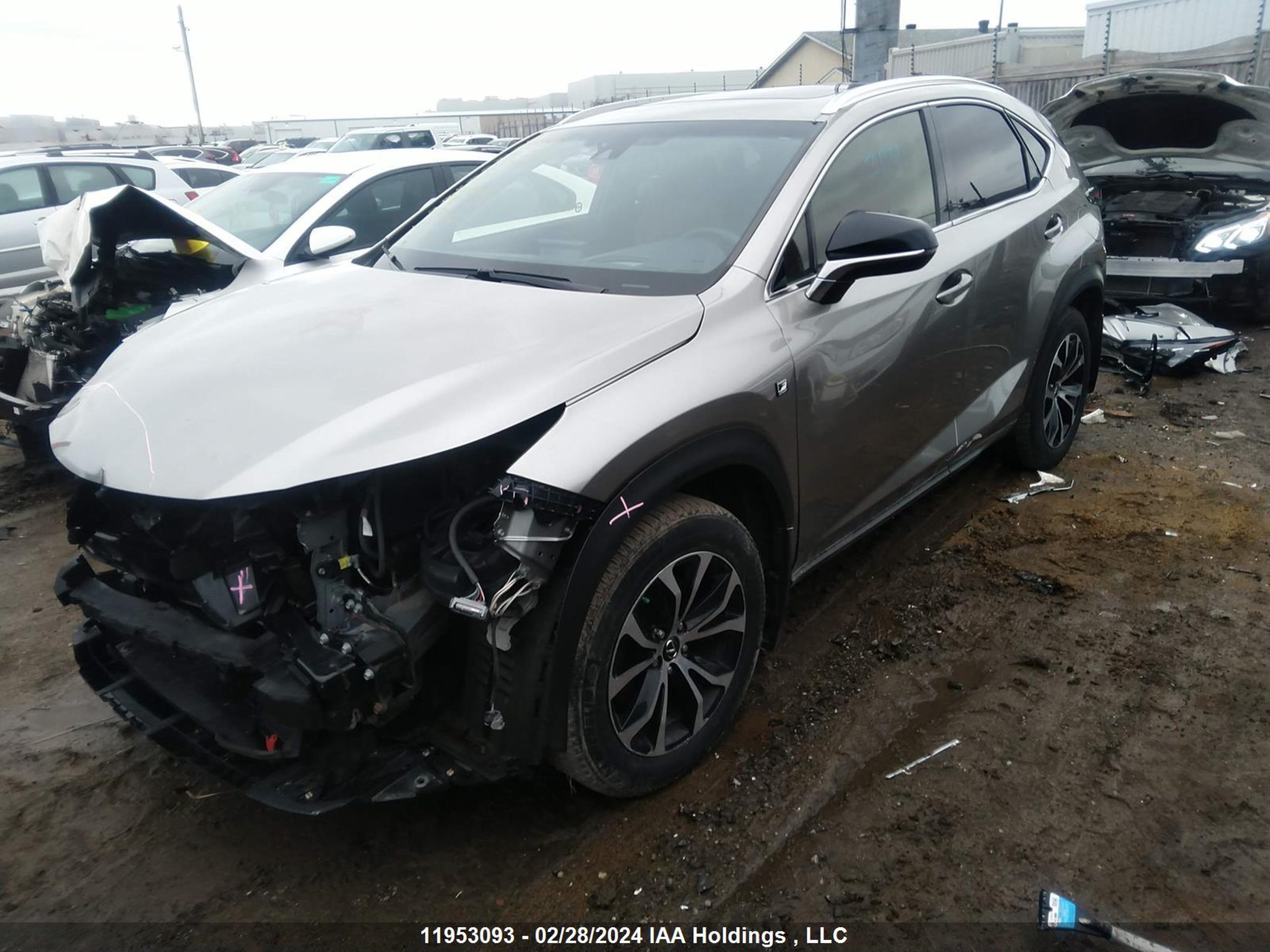 Photo 1 VIN: JTJBARBZ8G2050663 - LEXUS NX 