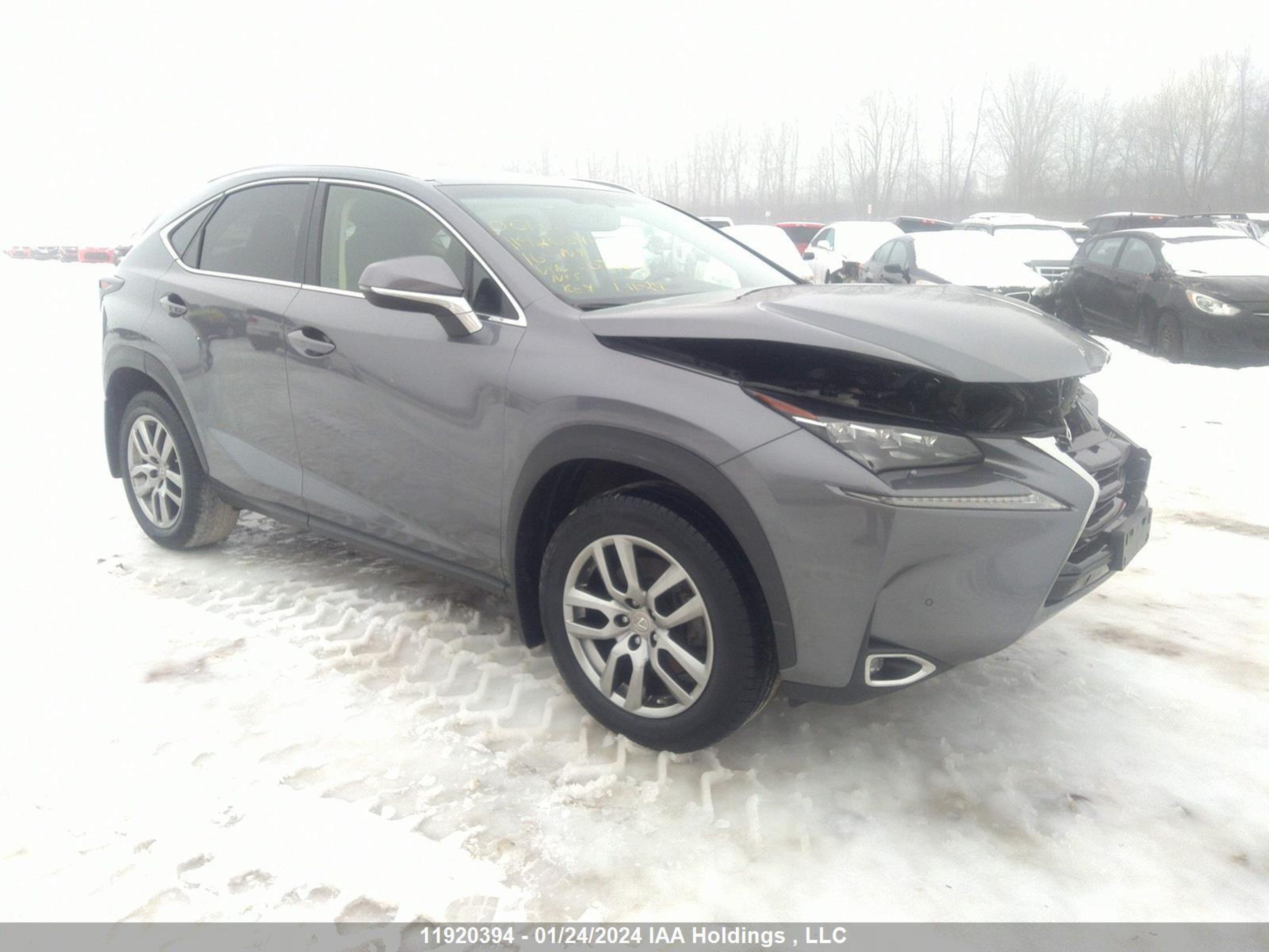 Photo 0 VIN: JTJBARBZ8G2072839 - LEXUS NX 