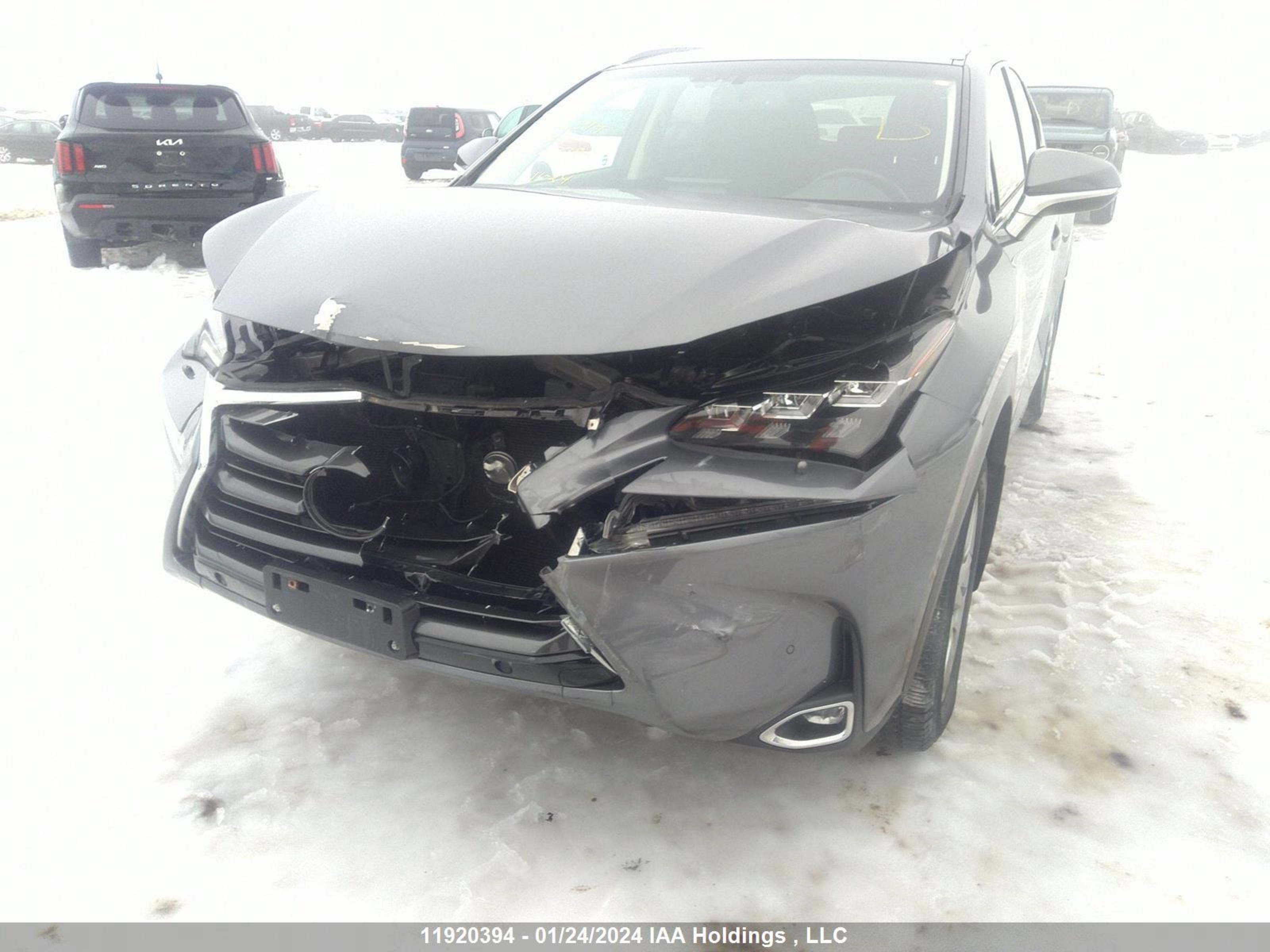 Photo 5 VIN: JTJBARBZ8G2072839 - LEXUS NX 