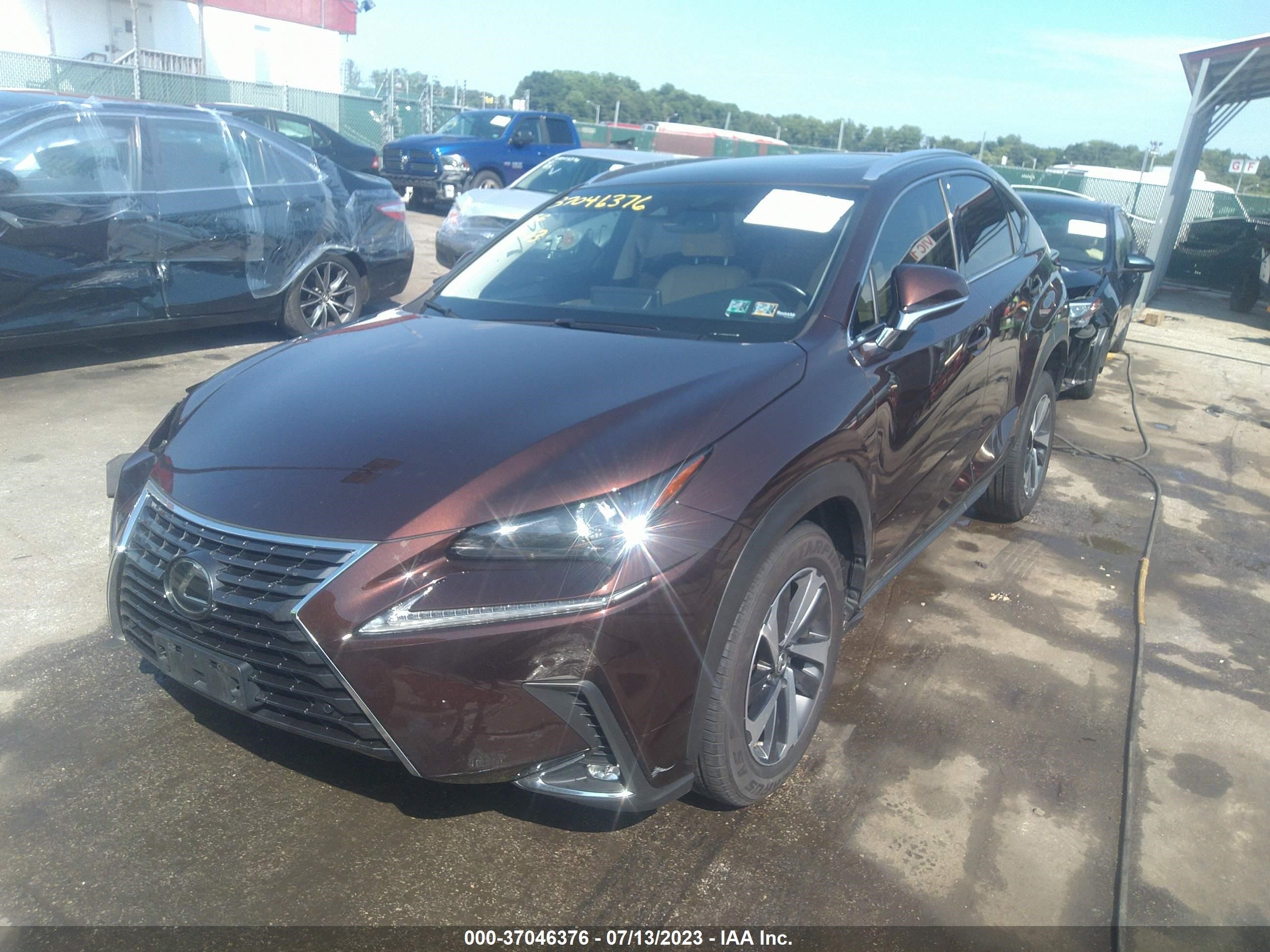 Photo 1 VIN: JTJBARBZ8K2201297 - LEXUS NX 