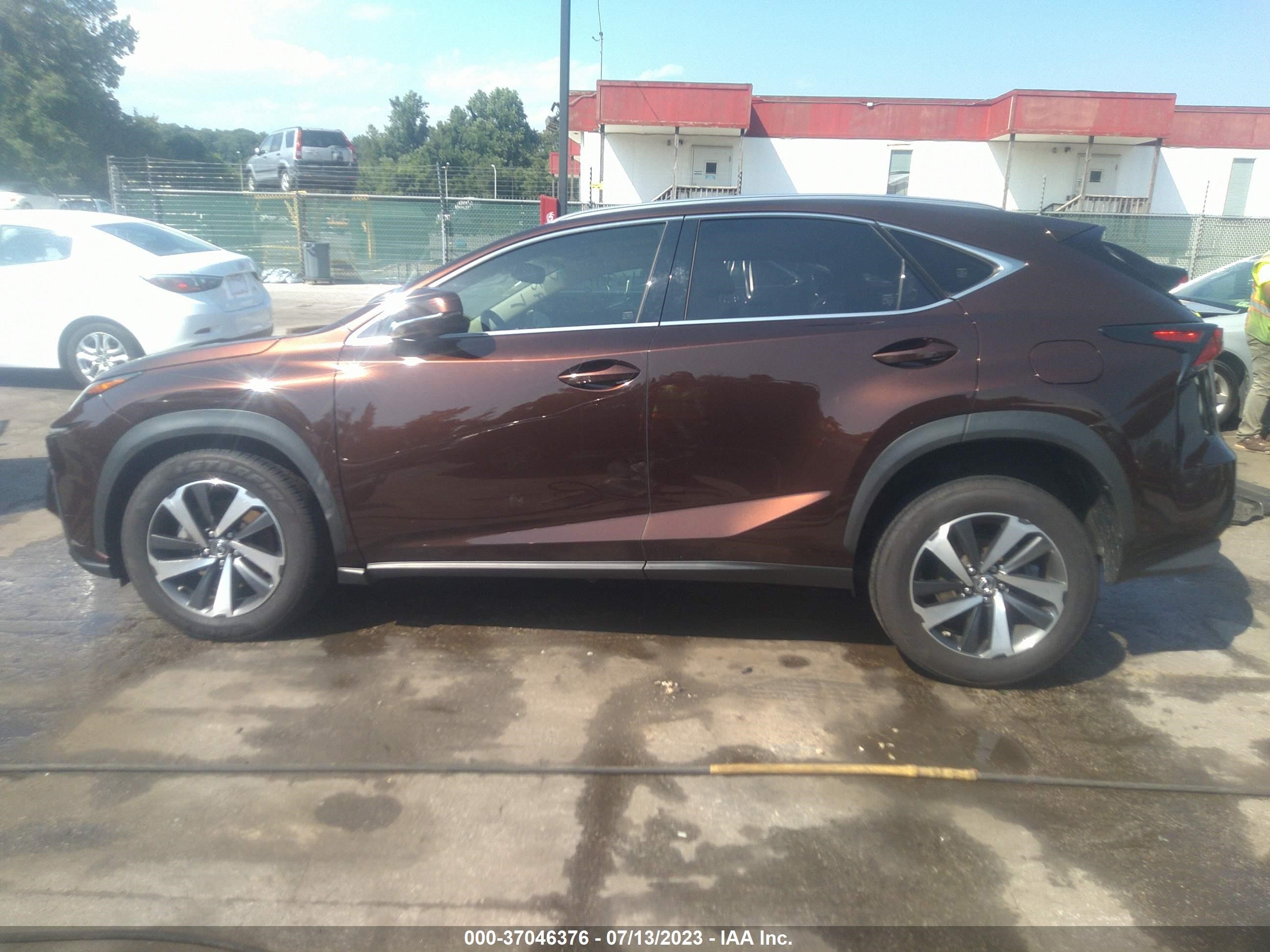 Photo 13 VIN: JTJBARBZ8K2201297 - LEXUS NX 