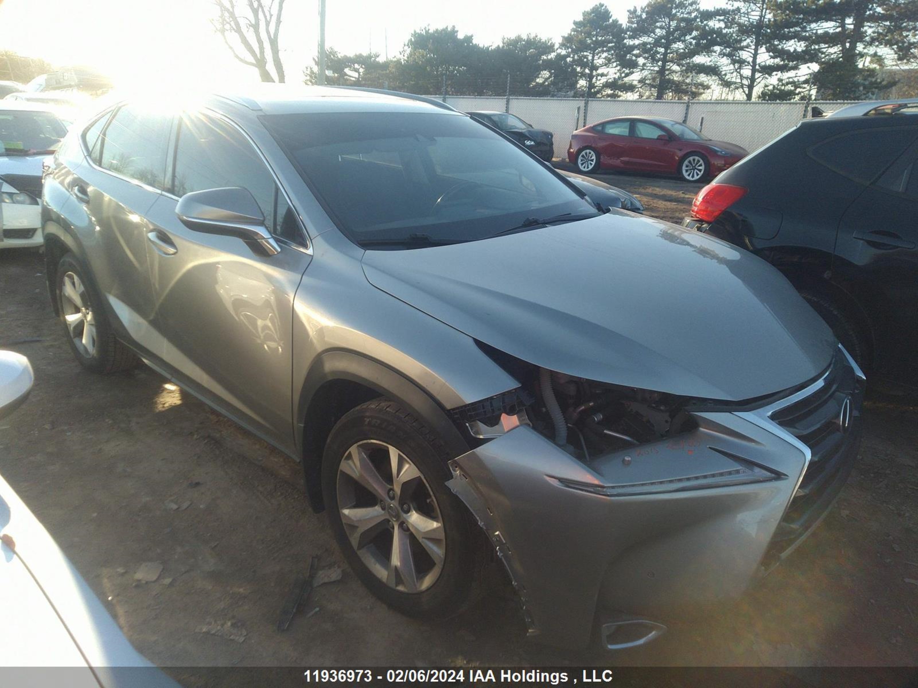 Photo 0 VIN: JTJBARBZ9F2034793 - LEXUS NX 