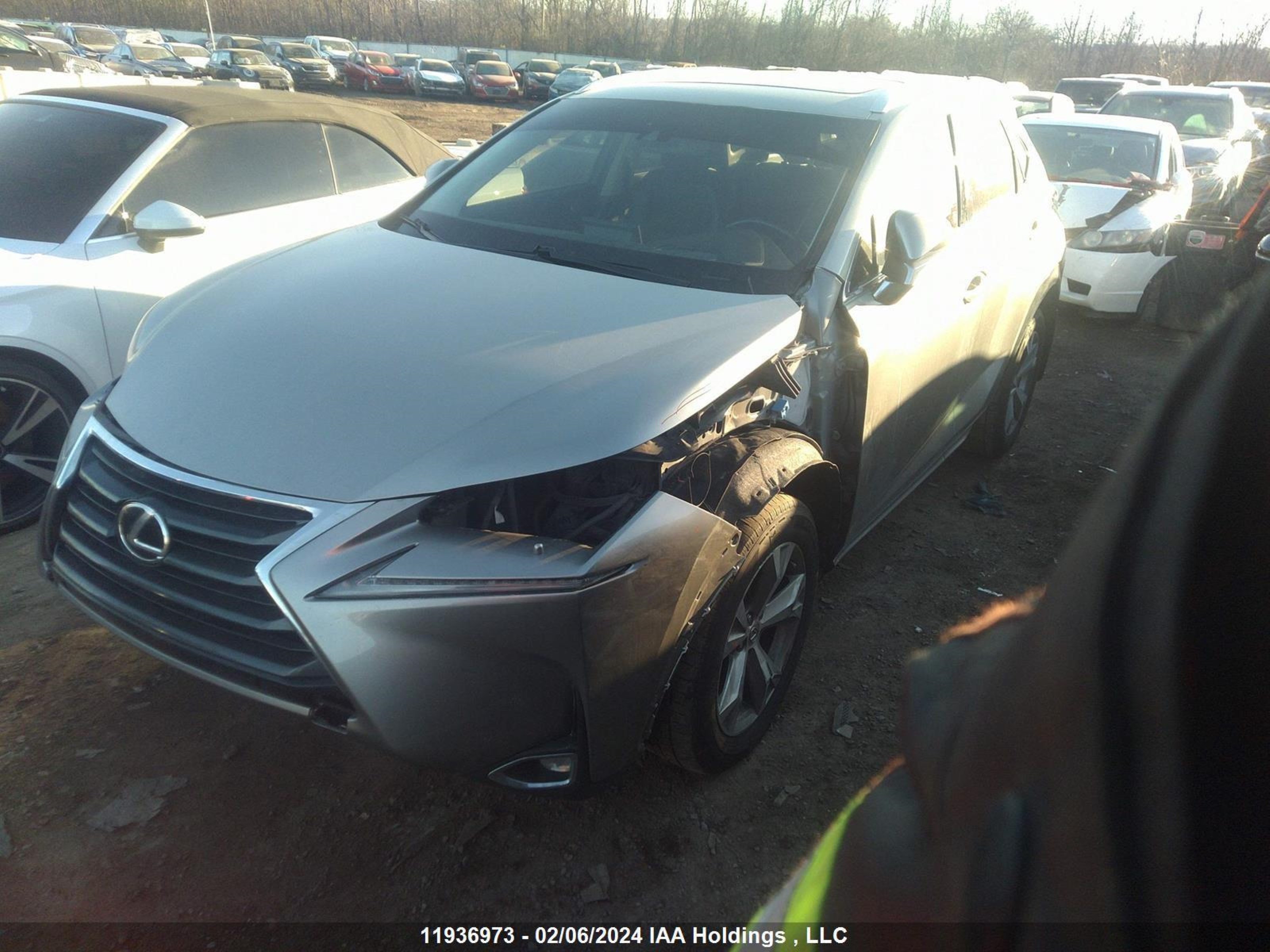 Photo 1 VIN: JTJBARBZ9F2034793 - LEXUS NX 